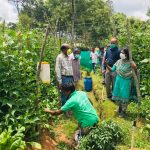 Organic Farming under SADP