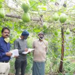 Organic Certification - Inspection by TNOCD Officials